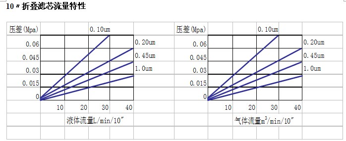 聚四氟乙烯(PTFE)折叠滤芯